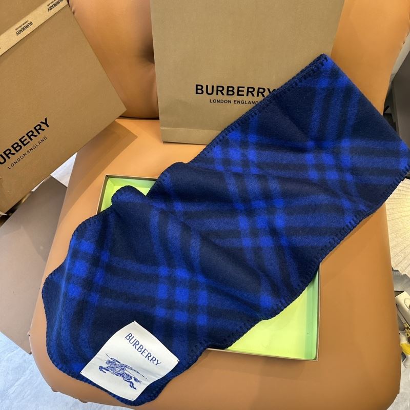 Burberry Scarf